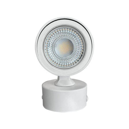 Lampa sufitowa Anillo 1 (LP-770/1W WH) - Light Prestige