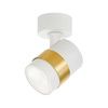 Lampa sufitowa Anillo 1 (LP-770/1W WH) - Light Prestige