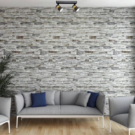 Lampa sufitowa Anillo 2 – eleganckie oświetlenie do każdego wnętrza (LP-770/2W BK) - Light Prestige